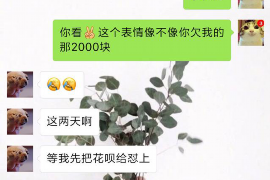 扶沟扶沟专业催债公司，专业催收